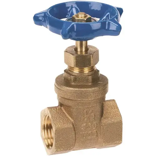 1/2 in. Brass FIP x FIP Gate Valve