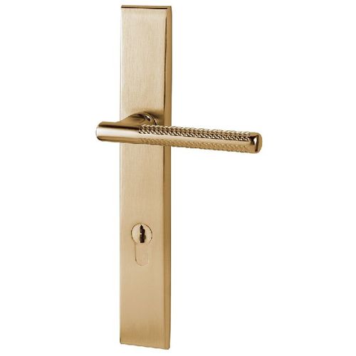 Lakeshore Multi Point Trim Keyed Entry with Turn Knob Configuration 4 Vintage Brass Finish