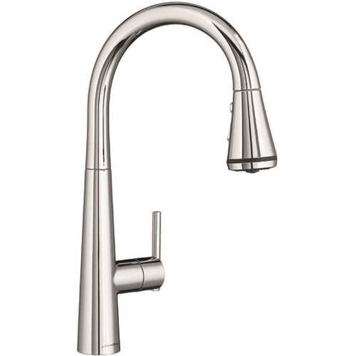 Edgewater Single-Handle Pull-Down Sprayer Kitchen Faucet with SelctFlo in Polished Chrome