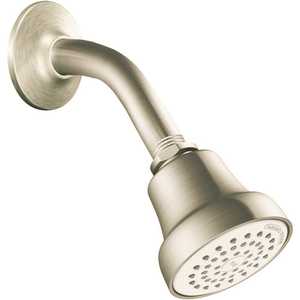 Cleveland Faucet Group 42916BNGR Water Saving 1-Spray 10.5 in. Single Wall Mount Fixed Shower Head in Brushed Nickel