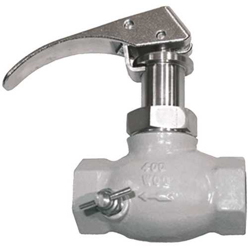 Heavy-Duty 3/4 in. FNPT Quick Acting Globe Valve with Vent Valve