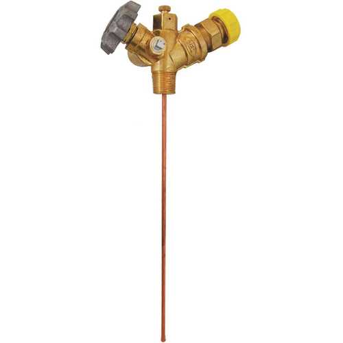 3/4 in. MNPT Multi-Service Valve with 12 in. Diptube