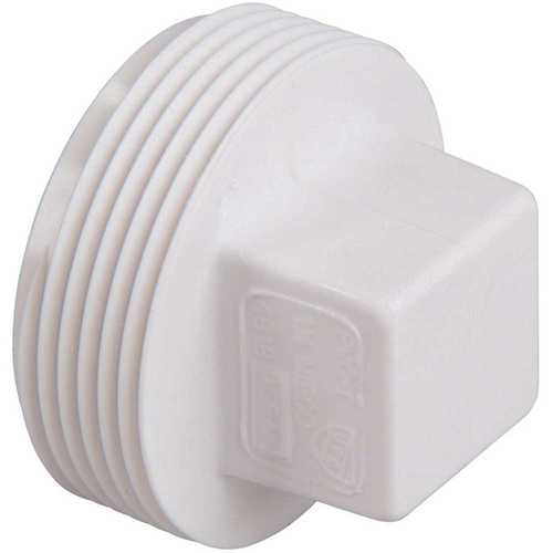 2 in. PVC DWV MIPT Cleanout Plug