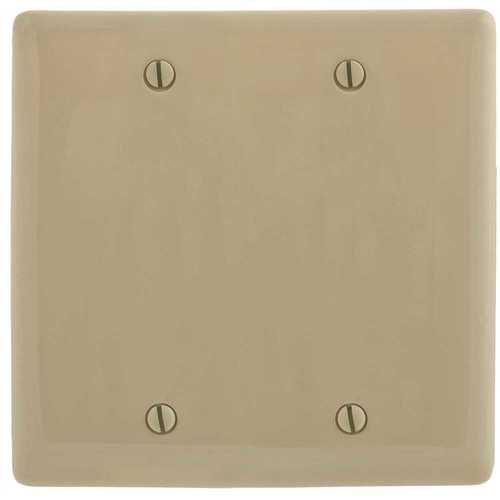 2-Gang Ivory Box Mount Blank Wall Plate