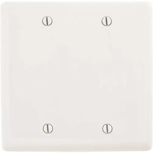 2-Gang White Medium Size Box Mount Blank Wall Plate