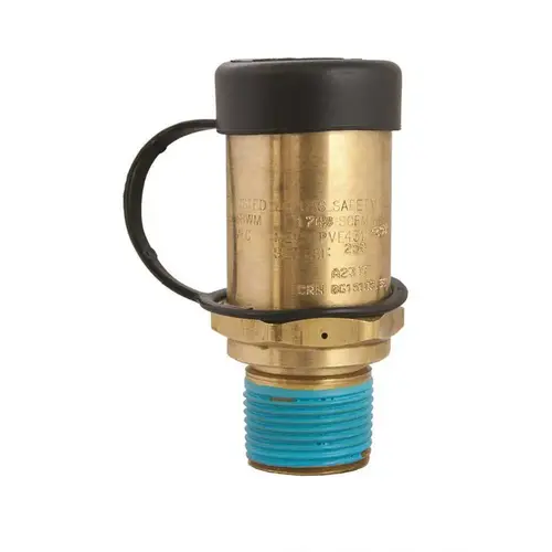 1 in. 250 PSI MNPT External Relief Valve