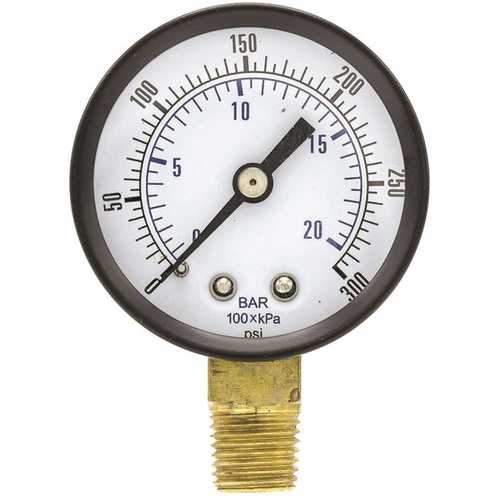 100 Series 2 in. Dial 1/4 NPT Lower Mount 300 psi Utility Accessory