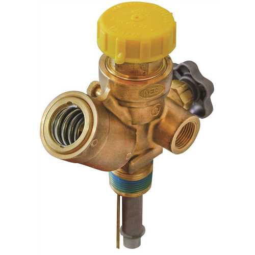Multi-Service 420 lb. Dot Vapor Valve, 1 in. MNGT Inlet with 375 psi Relief and 11.7 in. Dip Tube