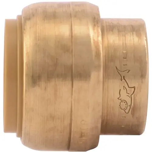 3/4 in. Brass Push-to-Connect End Stop