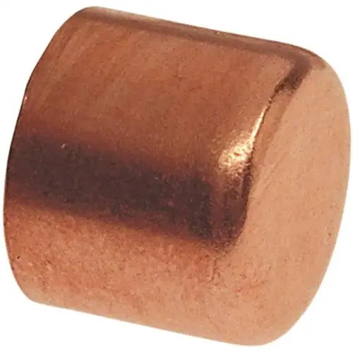 1/2 in. Copper Pressure Tube Cap Fitting