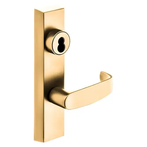 Grade 1 Exit Device Trim, Storeroom Function, Freewheeling Trim, Key Unlocks Trim, Trim Retracts Latch, Trim Relocks when Key is Removed, For Surface Vertical Rod and Mortise (8700, 8900 Series) Devices, Sargent LFIC Less Core, L Lever, RHR, Bright Bronze Clear Coated Bright Bronze Clear Coated