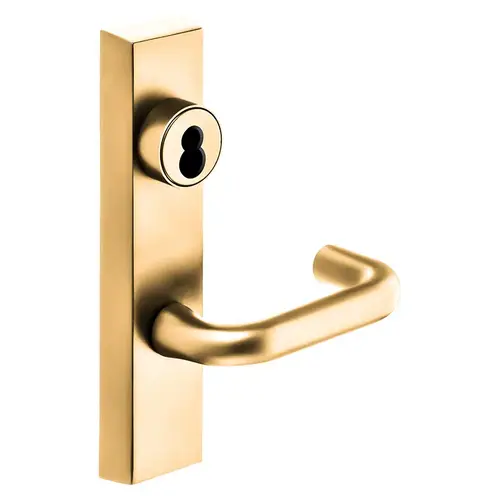 Grade 1 Exit Device Trim, Storeroom Function, Freewheeling Trim, Key Unlocks Trim, Trim Retracts Latch, Trim Relocks when Key is Removed, For Surface Vertical Rod and Mortise (8700, 8900 Series) Devices, Sargent LFIC Less Core, J Lever, RHR, Bright Bronze Clear Coated Bright Bronze Clear Coated