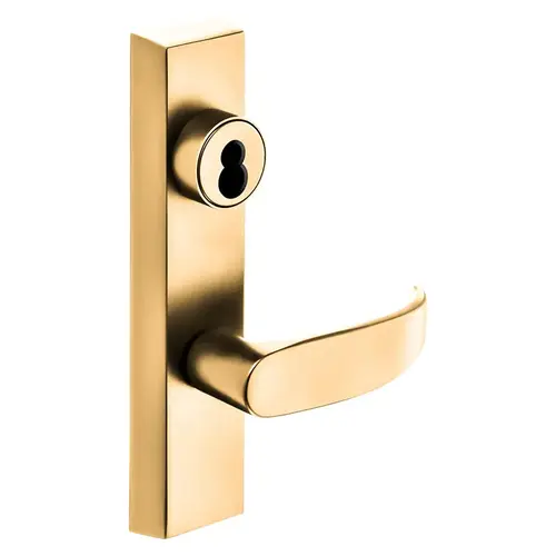 Grade 1 Exit Device Trim, Storeroom Function, Freewheeling Trim, Key Unlocks Trim, Trim Retracts Latch, Trim Relocks when Key is Removed, For Surface Vertical Rod and Mortise (8700, 8900 Series) Devices, Sargent LFIC Less Core, P Lever, RHR, Bright Bronze Clear Coated Bright Bronze Clear Coated