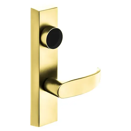 Grade 1 Exit Device Trim, Classroom Function, Freewheeling Trim, Key Outside Unlocks/Locks Trim, For Rim (8800) and NB8700 Series Devices, Less Cylinder, P Lever, RHR, Bright Brass Bright Brass