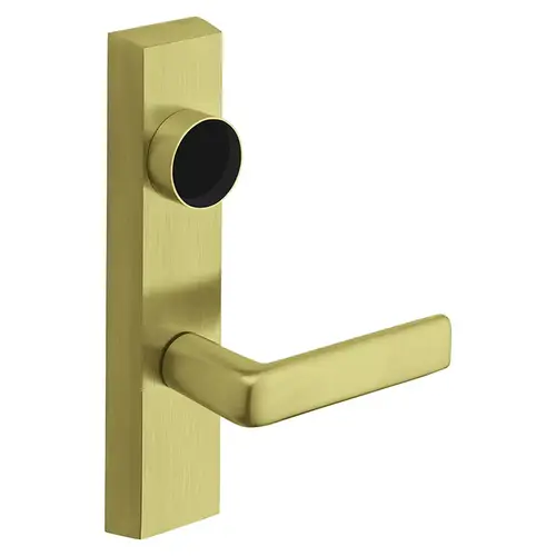 Grade 1 Exit Device Trim, Storeroom Function, Freewheeling Trim, Key Unlocks Trim, Trim Retracts Latch, Trim Relocks when Key is Removed, For Rim (8800) and NB8700 Series Devices, Less Cylinder, E Lever, RHR, Satin Brass Satin Brass