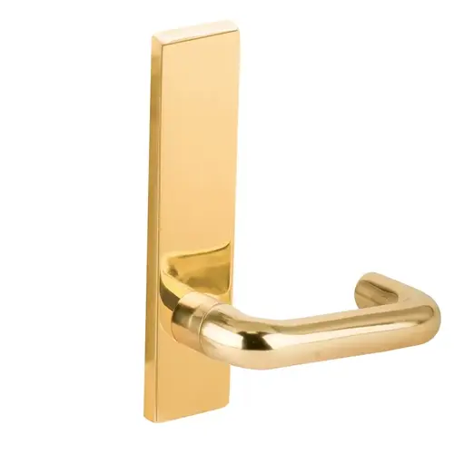 Full Dummy Trim with 03 Lever and L Escutcheon Bright Brass Finish