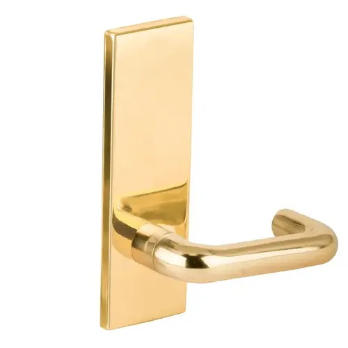 Full Dummy Trim with 03 Lever and N Escutcheon Bright Brass Finish