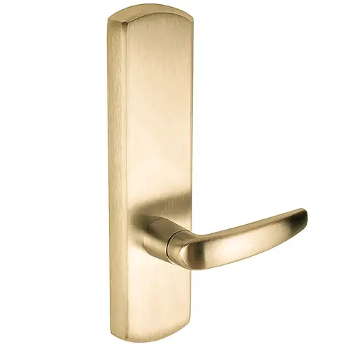 Exit Device Trim Satin Brass