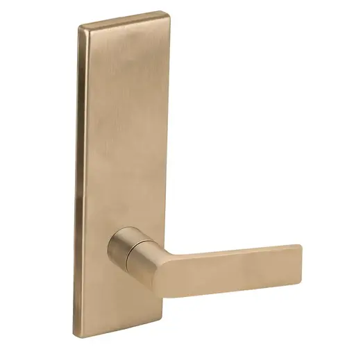 Full Dummy Trim with 01 Lever and N Escutcheon Antique Brass Finish