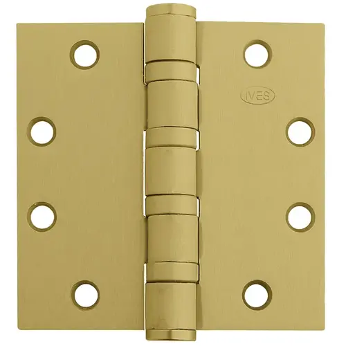 Hinges Satin Brass Plated Clear Coated