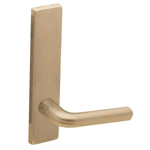 Full Dummy Trim with 02 Lever and L Escutcheon Antique Brass Finish