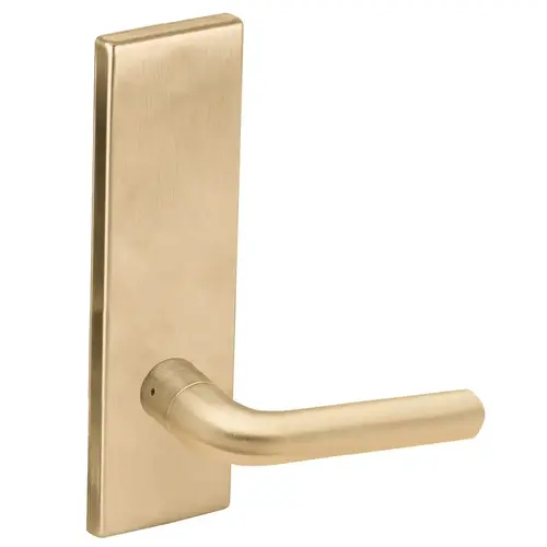 Full Dummy Trim with 02 Lever and N Escutcheon Satin Brass Finish