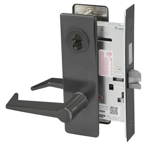 Mortise Lock Black Oxidized Bronze, Oil Rubbed