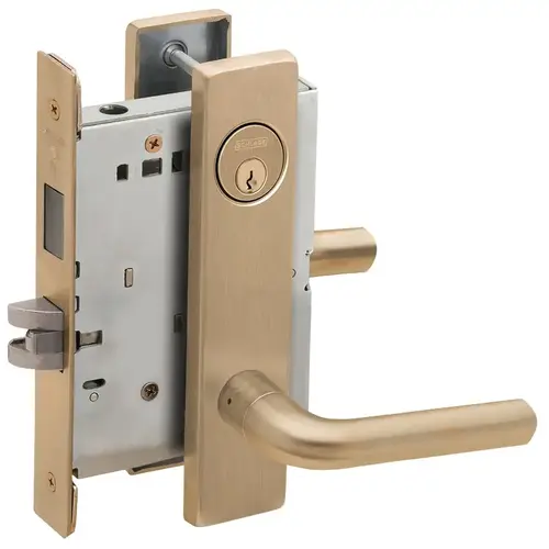 Dormitory / Bedroom Mortise Lock with C Keyway with 02 Lever and L Escutcheon Antique Brass Finish