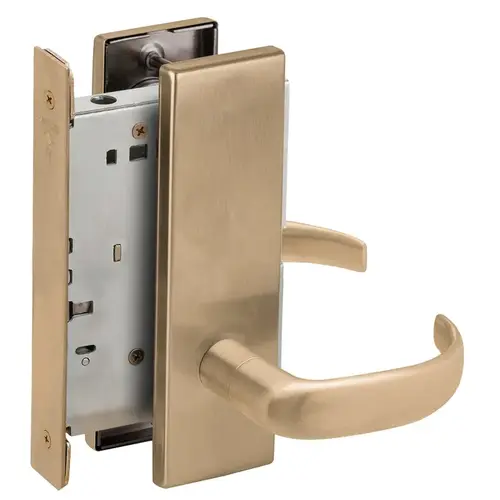 Full Dummy Mortise Trim with Lock Case with 17 Lever and N Escutcheon Antique Brass Finish