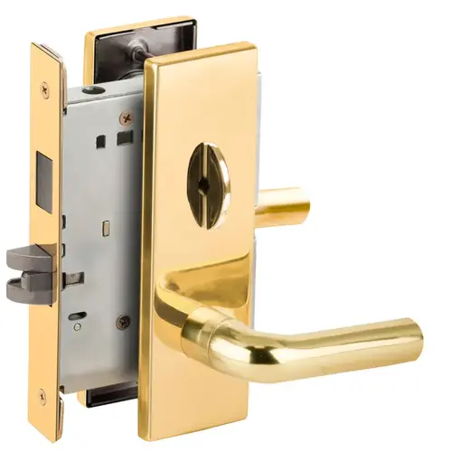 Privacy with Deadbolt Mortise Lock with 02 Lever and N Escutcheon Bright Brass Finish