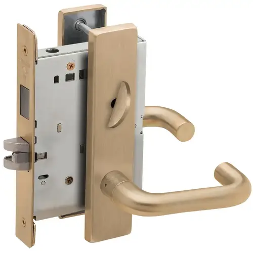 Privacy with Deadbolt Mortise Lock with 03 Lever and L Escutcheon Antique Brass Finish