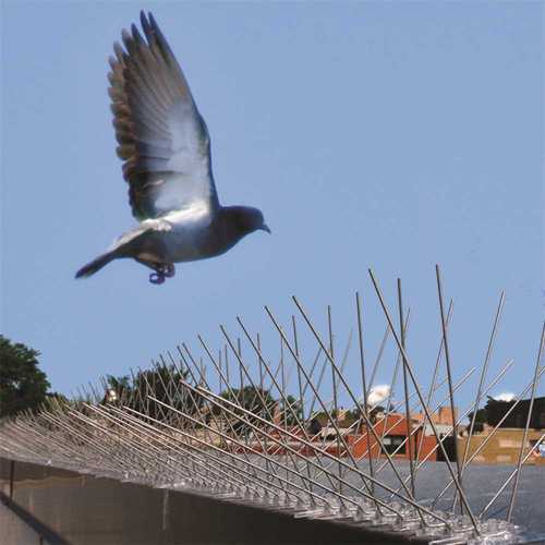 Bird-X STS-50 50 ft. Stainless Steel Bird Spikes Pigeons Starling Blackbirds Seagulls 6 in. Coverage