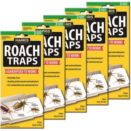 Roach Trap Value Pack White