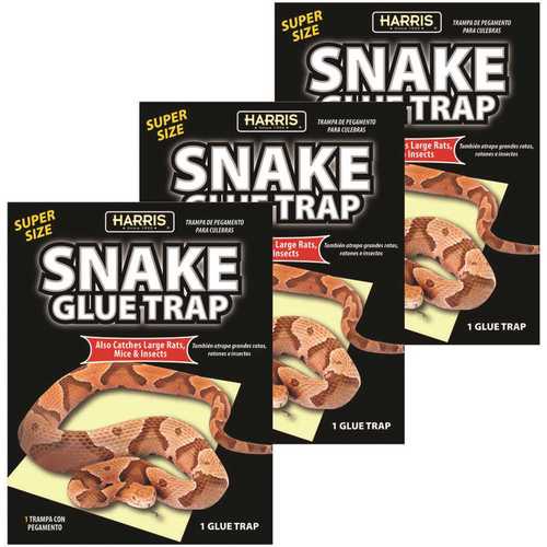 Snake Glue Trap Super Size