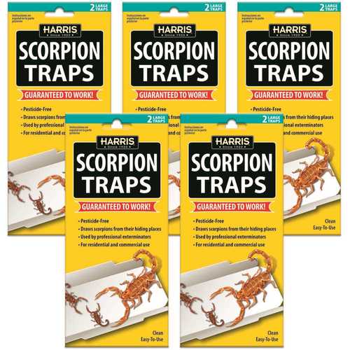 Harris SCTRPVP Scorpion Glue Trap White