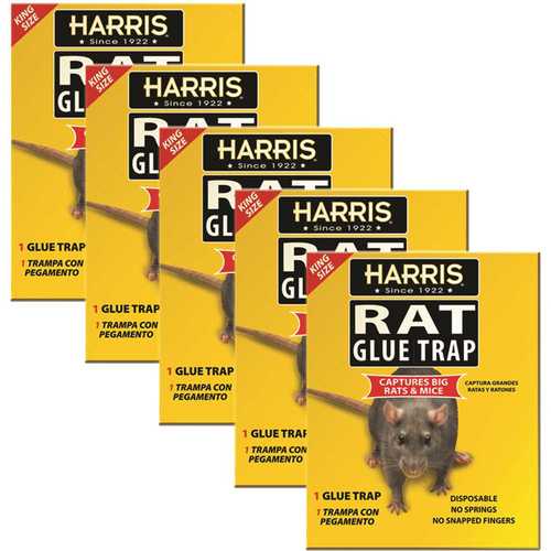 Harris 5KING-RAT King Size Rat and Mouse Glue Trap