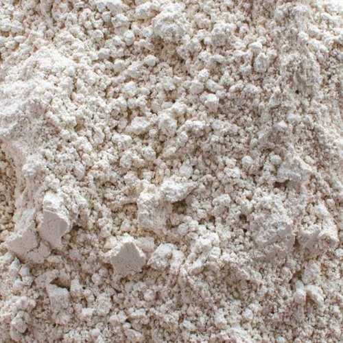 25 lbs. Diatomaceous Earth Bag