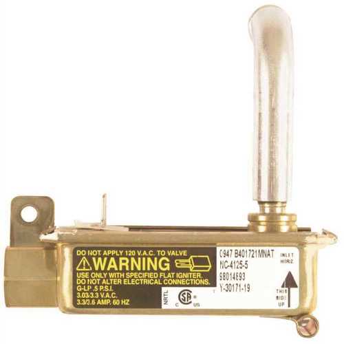 Gas Oven Safety Valve