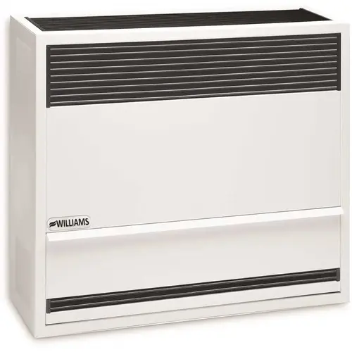 Williams 3003822 Direct-Vent Gravity Wall Heater 30,000 BTUH, 66% AFUE, Natural Gas Soft-white