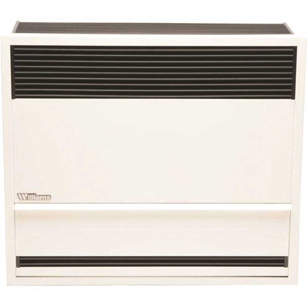 Williams 3003821 30,000 BTUH 66% AFUE Direct-Vent Propane Gas Gravity Wall Heater White