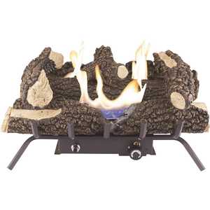Wildwood 24 in. Vent-Free Dual Fuel Gas Fireplace Logs