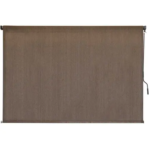 Driftwood Cordless Light Filtering UV Protection Fabric Exterior Roller Shade 48 in. W x 72 in. L