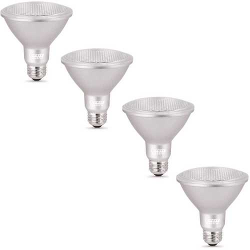 75-Watt Equivalent PAR30 Dimmable CEC LED Flood Light Bulb Daylight - pack of 4