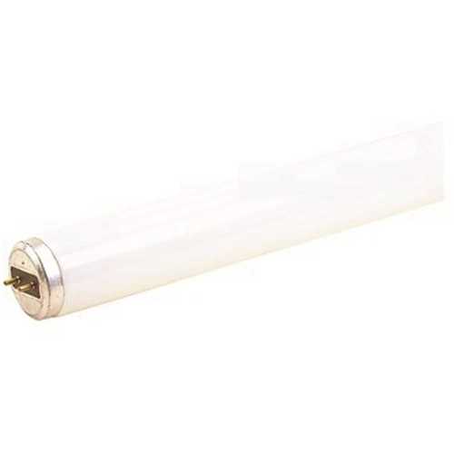 COPY 0 40-Watt 48 in. Linear T12 Fluorescent Lamp Light Bulb, Cool White - pack of 30