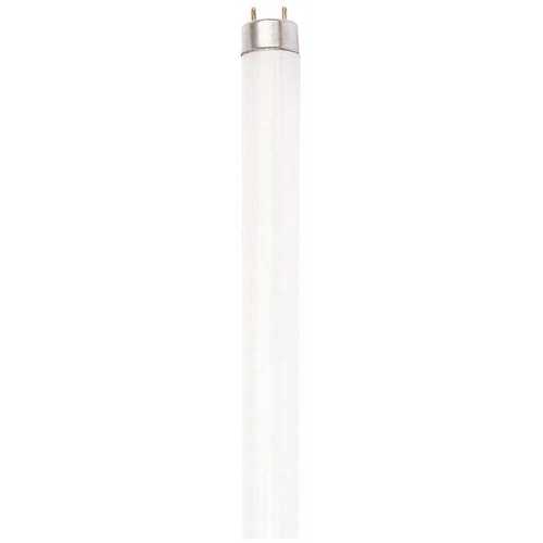 32-Watt T8 Linear Fluorescent Tube Light Bulb, Daylight - pack of 30