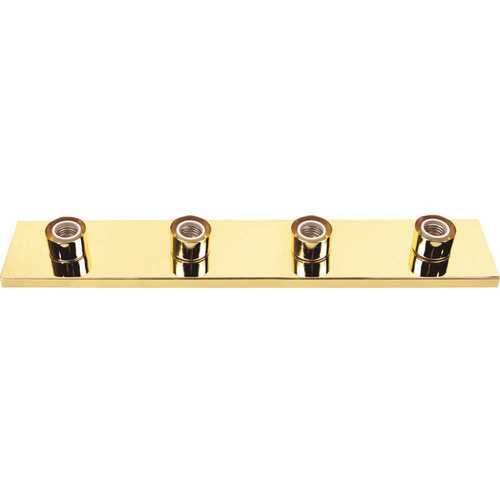 Royal Cove 671611 24 in. Polished Brass Vanity Lighting Strip Uses (4) 60-Watt Incandescent G25 Medium Base Lamps Color/Finish Family