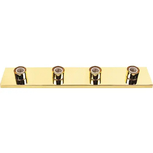 24 in. Polished Brass Vanity Lighting Strip Uses (4) 60-Watt Incandescent G25 Medium Base Lamps Color/Finish Family