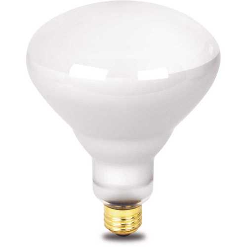 Feit Electric 500R/FL-130 500-Watt Incandescent R40 Flood Pool and Spa Light Bulb