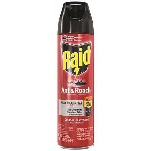 RAID 617736 17.5 oz. Ready-to-Use Ant and Roach Killer