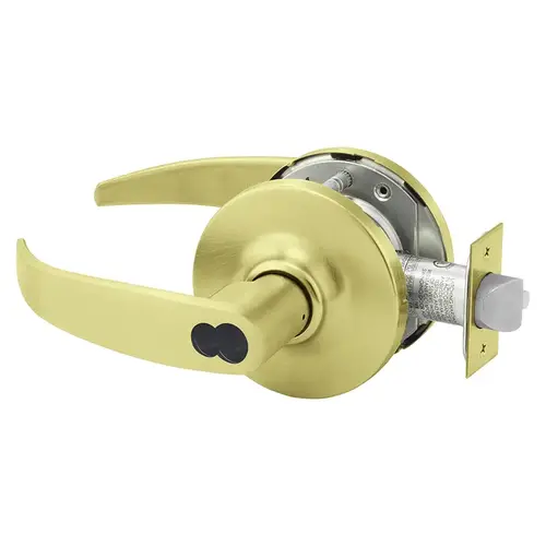 Cylindrical Lock Satin Brass